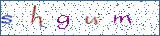 Type the letters shown in the picture