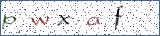 Type the letters shown in the picture