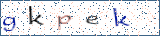 Type the letters shown in the picture