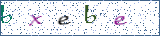 Type the letters shown in the picture