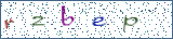 Type the letters shown in the picture