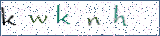 Type the letters shown in the picture