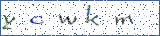 Type the letters shown in the picture