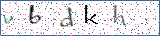 Type the letters shown in the picture