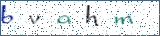 Type the letters shown in the picture