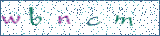 Type the letters shown in the picture
