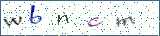 Type the letters shown in the picture