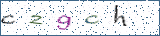 Type the letters shown in the picture