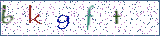 Type the letters shown in the picture