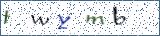 Type the letters shown in the picture