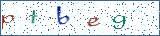 Type the letters shown in the picture
