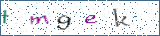 Type the letters shown in the picture