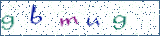 Type the letters shown in the picture