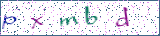 Type the letters shown in the picture