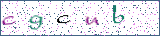 Type the letters shown in the picture