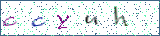 Type the letters shown in the picture