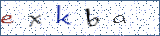 Type the letters shown in the picture