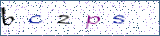 Type the letters shown in the picture
