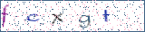 Type the letters shown in the picture