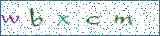 Type the letters shown in the picture