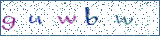 Type the letters shown in the picture