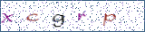 Type the letters shown in the picture