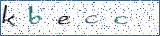 Type the letters shown in the picture