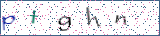 Type the letters shown in the picture