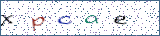 Type the letters shown in the picture