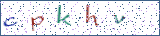Type the letters shown in the picture