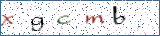Type the letters shown in the picture