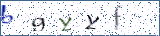 Type the letters shown in the picture