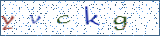 Type the letters shown in the picture