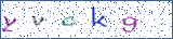Type the letters shown in the picture