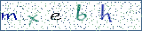 Type the letters shown in the picture