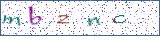 Type the letters shown in the picture