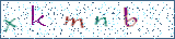 Type the letters shown in the picture