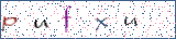 Type the letters shown in the picture