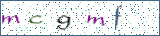 Type the letters shown in the picture