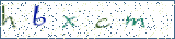 Type the letters shown in the picture