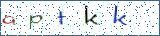 Type the letters shown in the picture