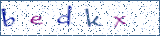 Type the letters shown in the picture