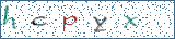 Type the letters shown in the picture