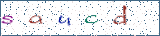 Type the letters shown in the picture