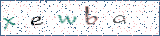 Type the letters shown in the picture