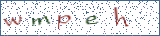 Type the letters shown in the picture