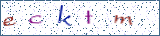 Type the letters shown in the picture