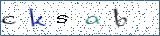 Type the letters shown in the picture