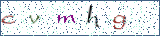 Type the letters shown in the picture