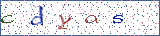 Type the letters shown in the picture